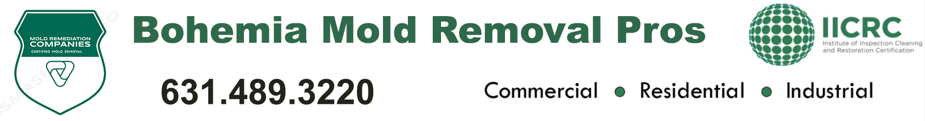 Bohemia Mold Removal Pros